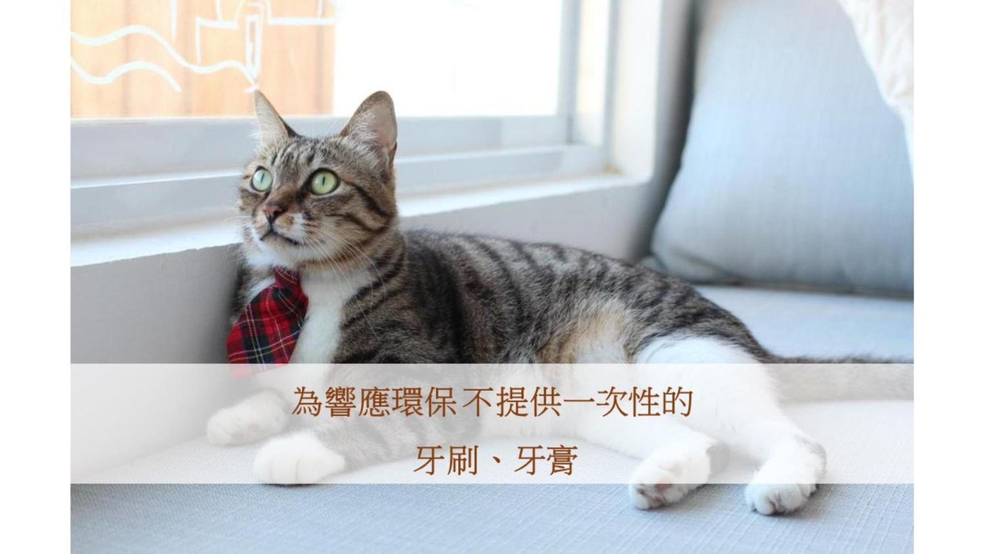 Cat At Greece Bed & Breakfast Nanwan Bagian luar foto