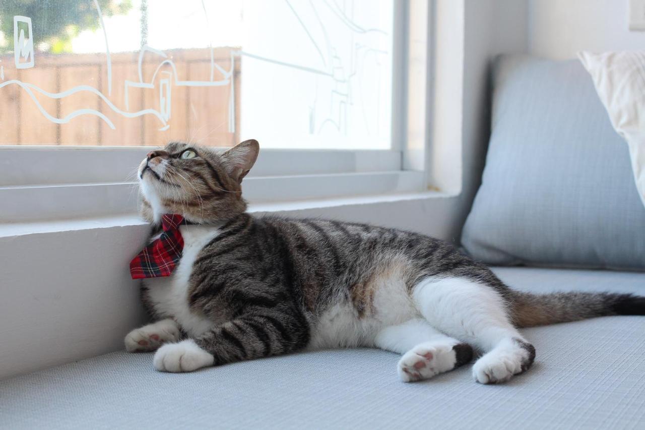 Cat At Greece Bed & Breakfast Nanwan Bagian luar foto
