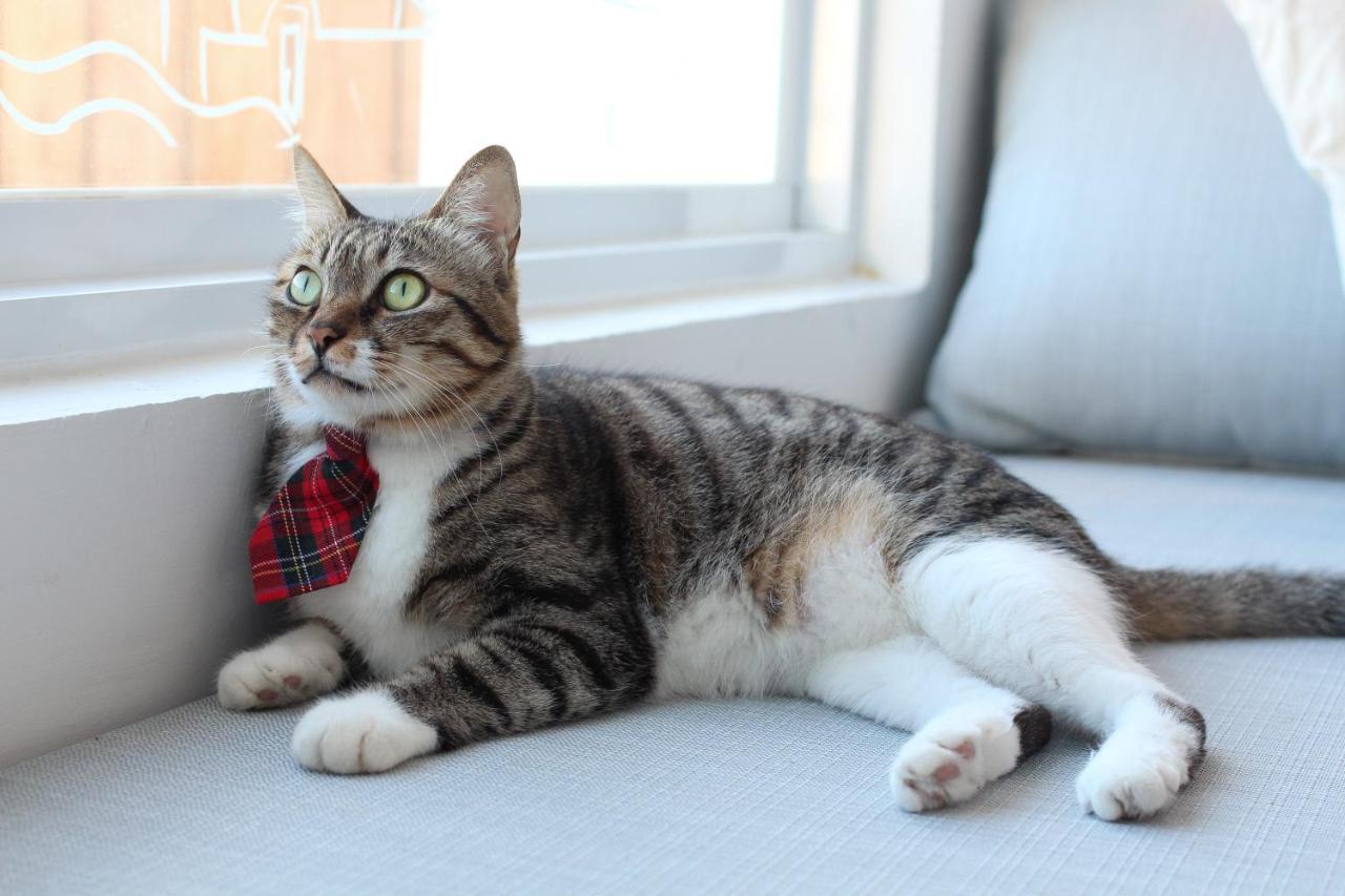 Cat At Greece Bed & Breakfast Nanwan Bagian luar foto